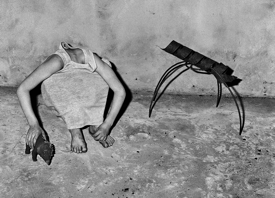 Roger Ballen, Head Inside Shirt