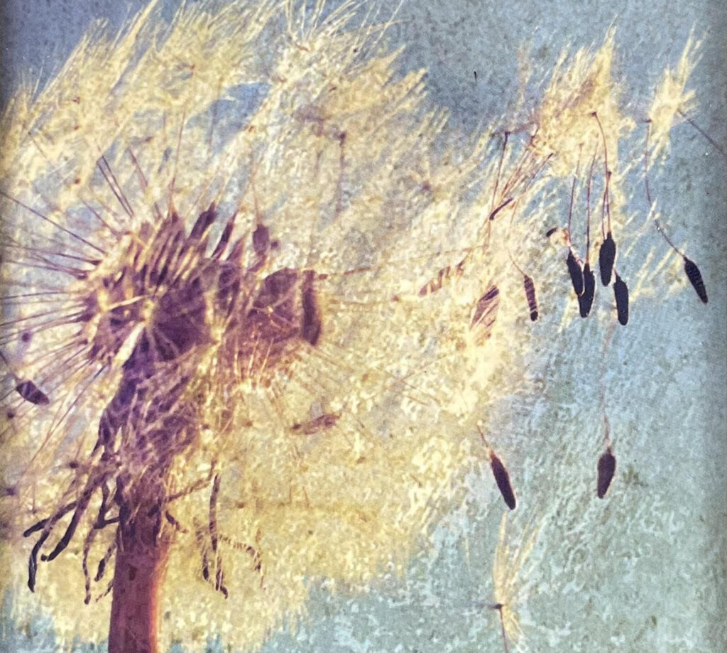 Breath Like the Wind at Dawn, by Devin Jacobsen, reviewed at Riot Material magazine.