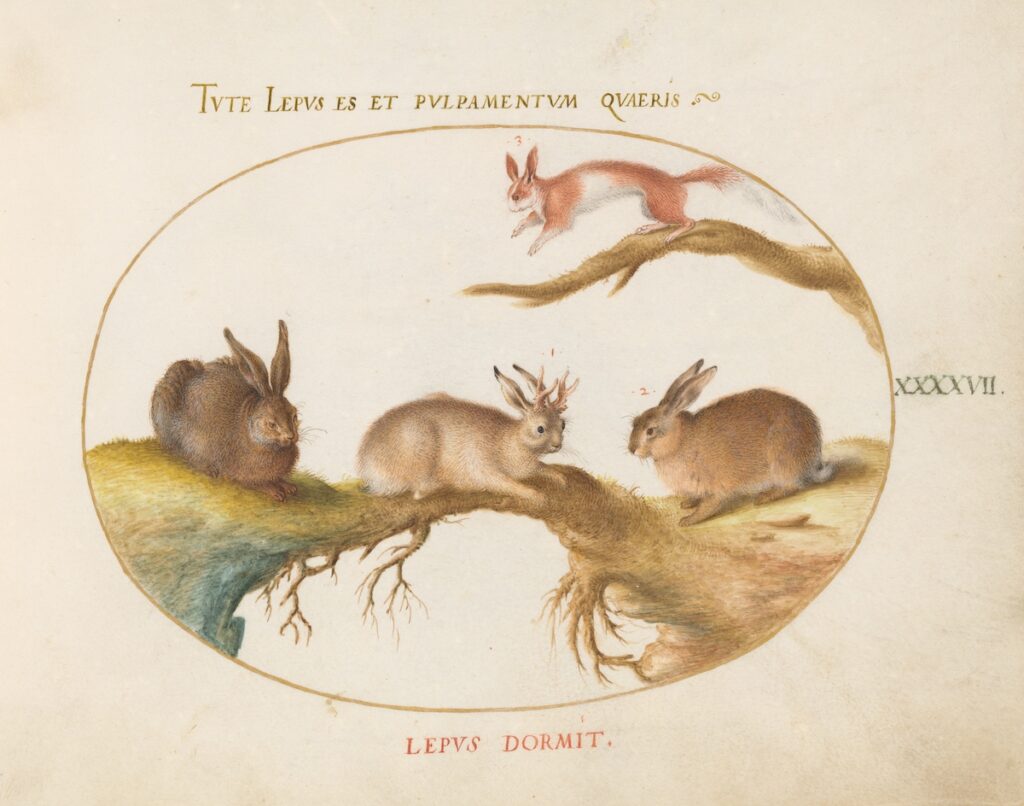 From Antoinette LaFarge's Sting in the Tale, excepted at Riot Material