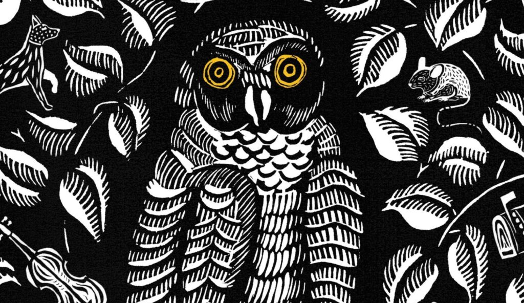 A review of "Chouette," by Claire Oshetsky.